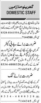 Jang Sunday Classified Ads 17 Nov 2024 For Technical Staff